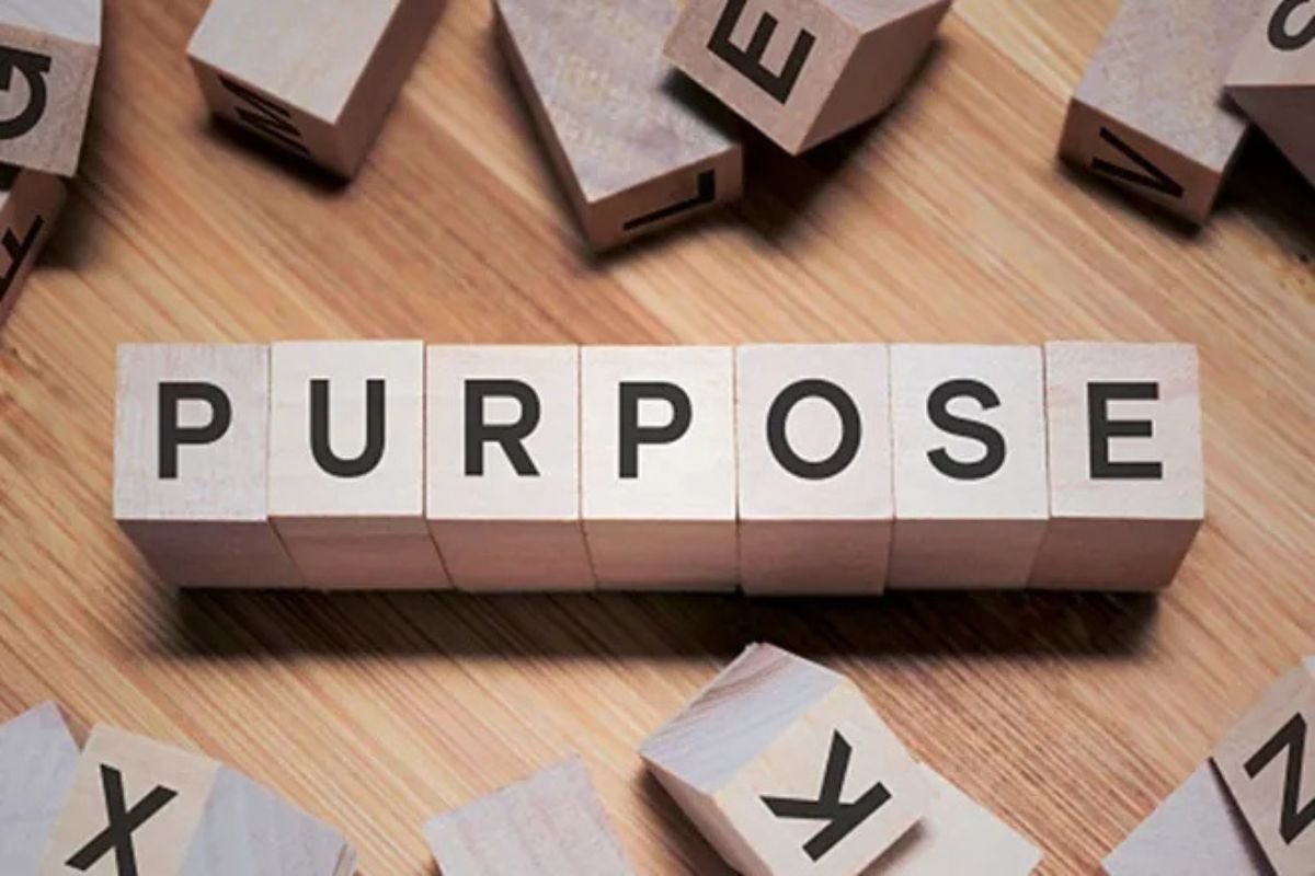 The Rise of Purpose Driven Startups in India: How Social Impact Startups Are Shaping the Future 2024